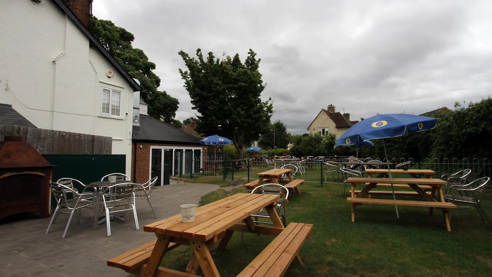 The Orange Tree